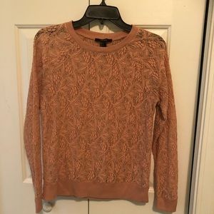 Petite Ladies Apparel